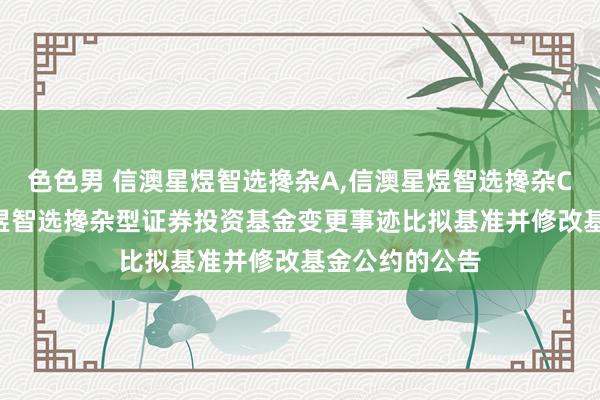 色色男 信澳星煜智选搀杂A,信澳星煜智选搀杂C: 对于信澳星煜智选搀杂型证券投资基金变更事迹比拟基准并修改基金公约的公告