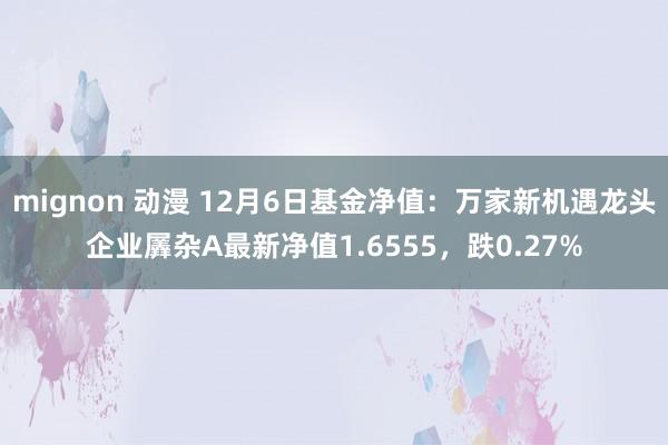 mignon 动漫 12月6日基金净值：万家新机遇龙头企业羼杂A最新净值1.6555，跌0.27%