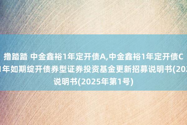 撸踏踏 中金鑫裕1年定开债A,中金鑫裕1年定开债C: 中金鑫裕1年如期绽开债券型证券投资基金更新招募说明书(2025年第1号)