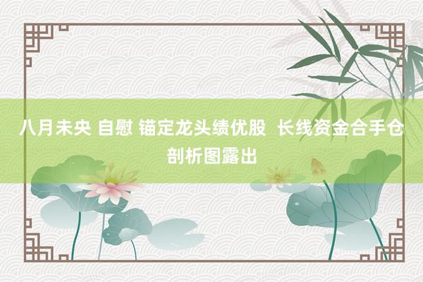 八月未央 自慰 锚定龙头绩优股  长线资金合手仓剖析图露出