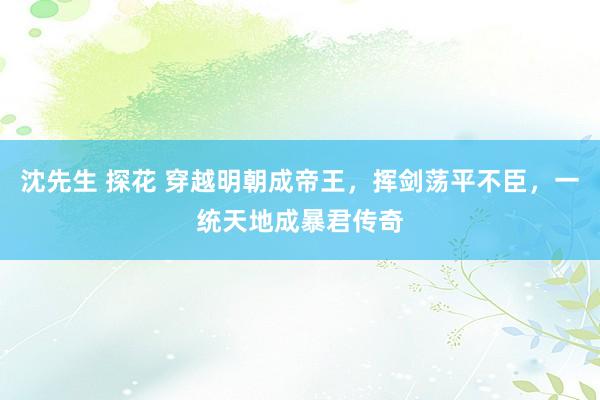 沈先生 探花 穿越明朝成帝王，挥剑荡平不臣，一统天地成暴君传奇