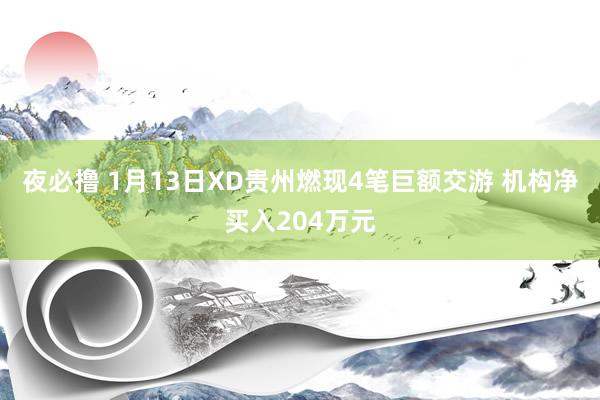 夜必撸 1月13日XD贵州燃现4笔巨额交游 机构净买入204万元