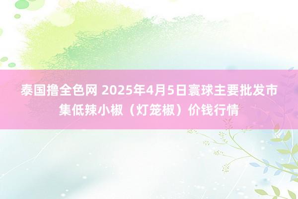 泰国撸全色网 2025年4月5日寰球主要批发市集低辣小椒（灯笼椒）价钱行情