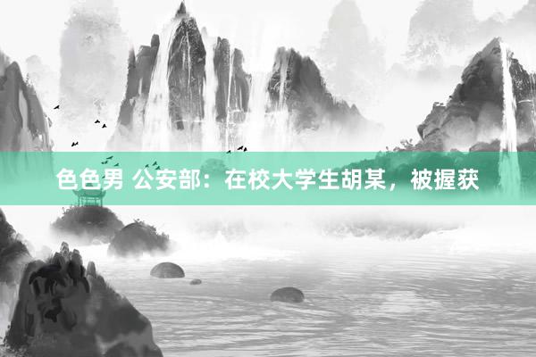色色男 公安部：在校大学生胡某，被握获